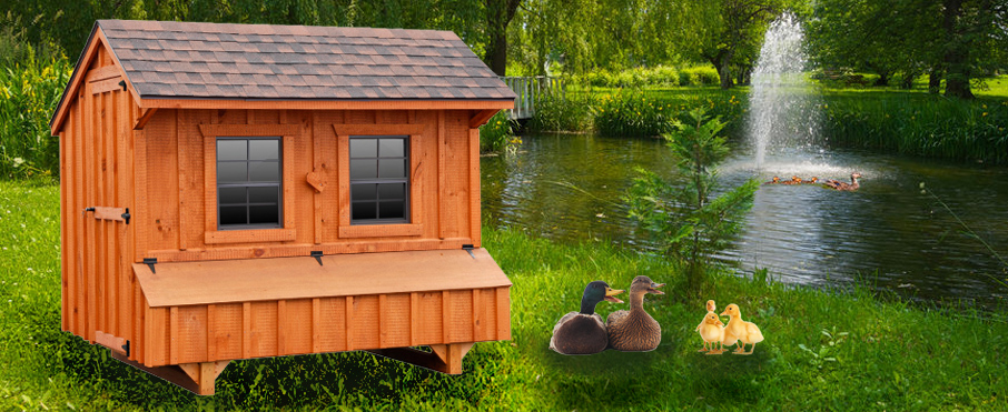 custom duck coops