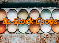 In-Stock Coops