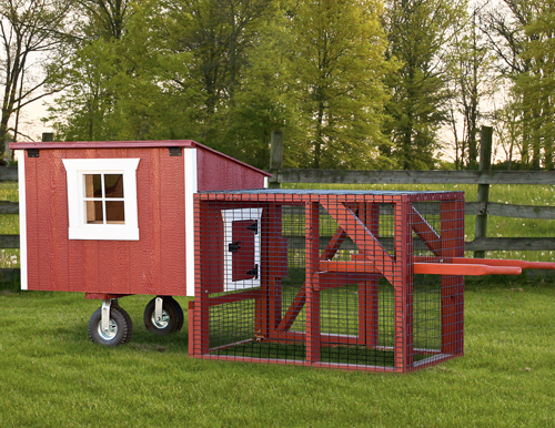 Lean-To Style 3x6 Chicken Coop | Chicken Coops in New Jersey
