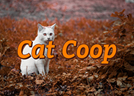 Cat Coops