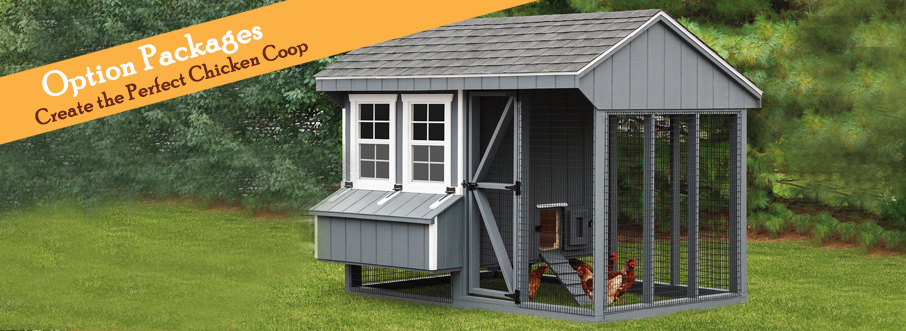 Lean-To Chicken Coop