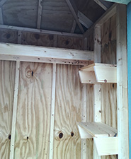 picture showing custom wood shelves on the interior of amish made garden shed