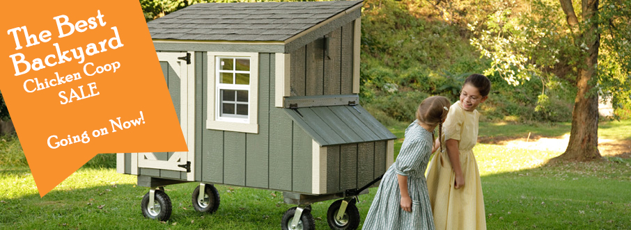 Amish Lean-To Chicken Coop Sale